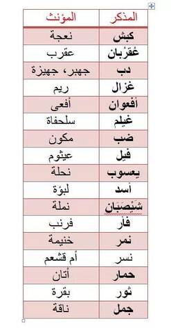 واحة الفصحى