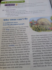Why emus can't fly 15535810