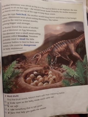 Baby dinosaurs : an amazing discovery  20200314