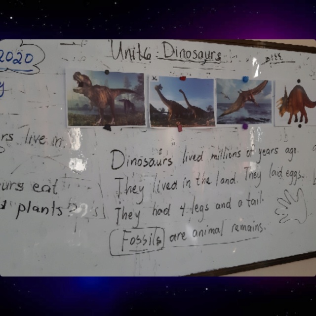Unit 6 Dinosaurs  Image189