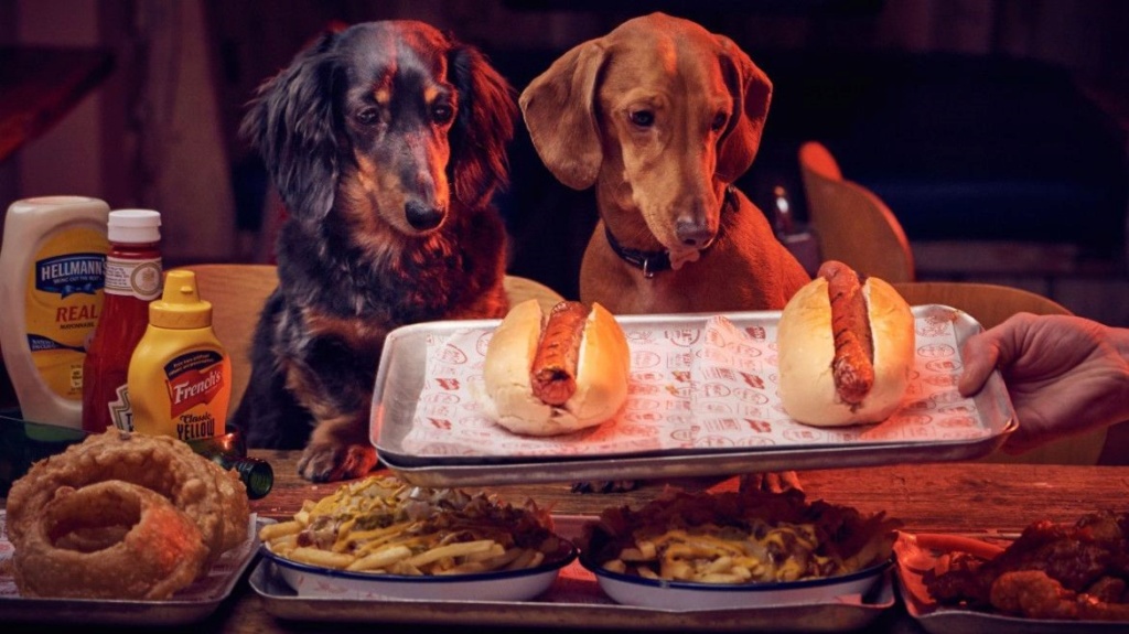 Animais podem entrar nos restaurantes Rest12