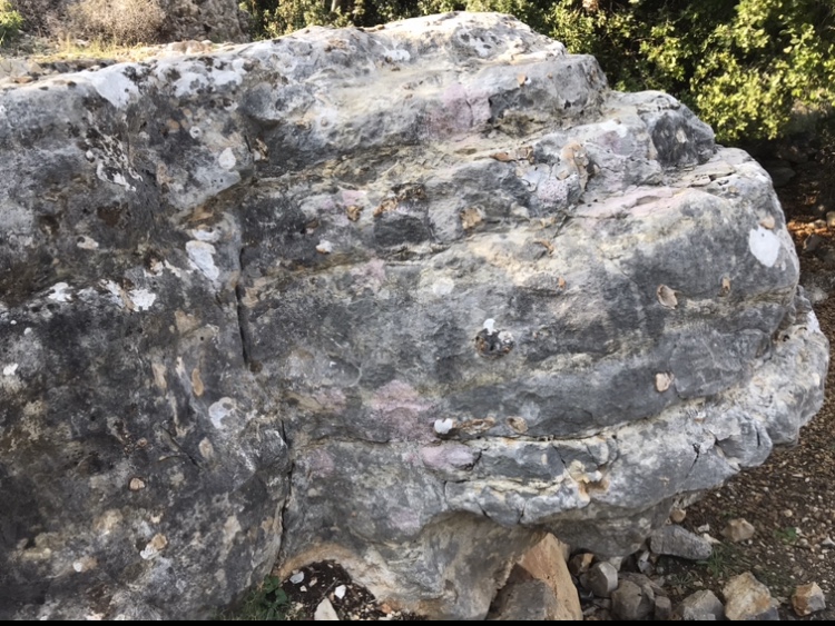 منطقة صخرية فيها رأس سلحفاة ضخمة في صخرة ضخمة D0974710