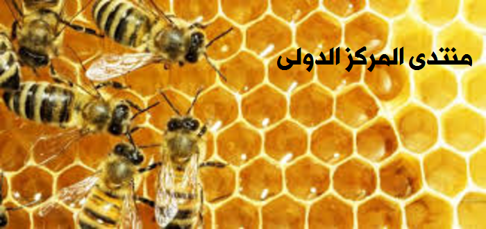 طريقة جذب النحل إلى الخلية  7-312