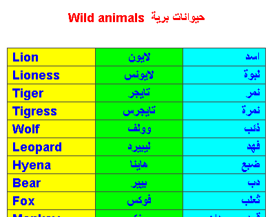 اسماء الحيوانات البرية بالانجليزى Ae_ayo11