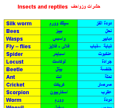 اسماء الحشرات والزواحف بالانجليزى Ae_ayo12