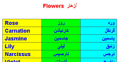 انواع الازهار والورود بالانجليزى Ai_a_i10
