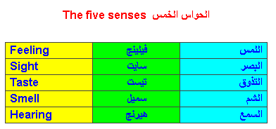 الحواس الخمس بالانجليزى Ayi_ay10