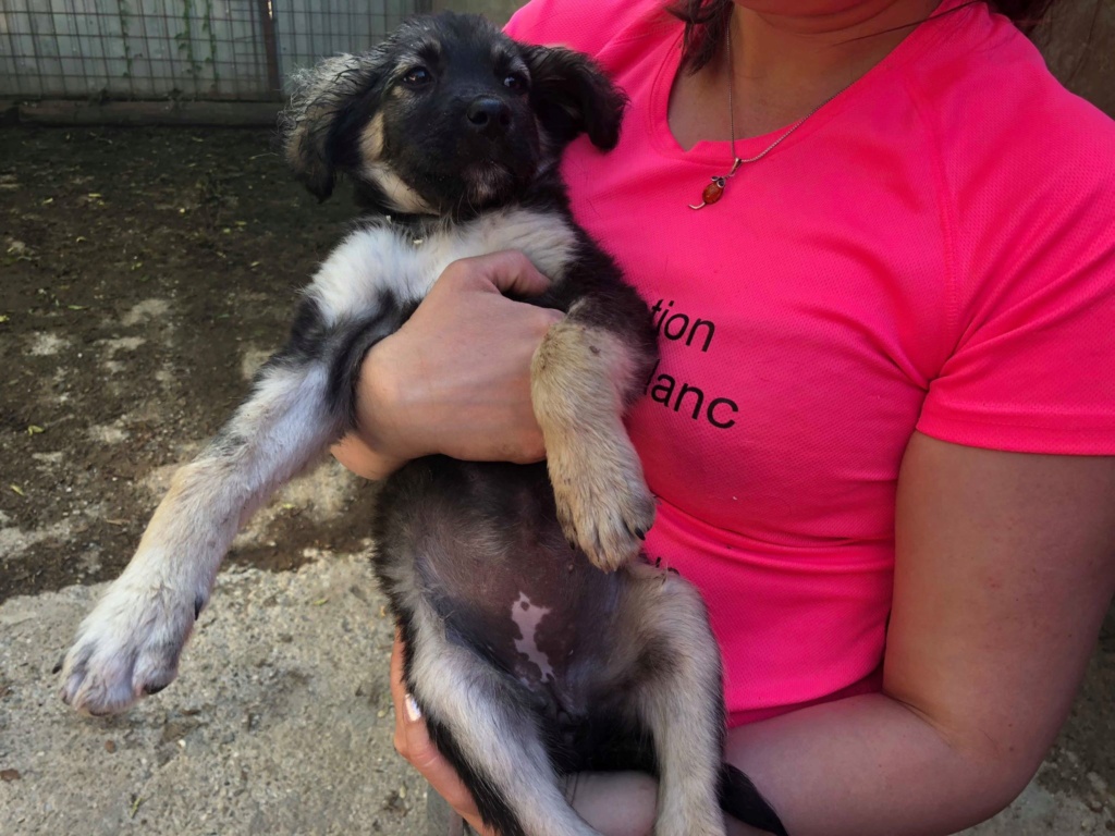 Parrainage de Atropine (bébé de Rebecca) - X - CLOS 62364510