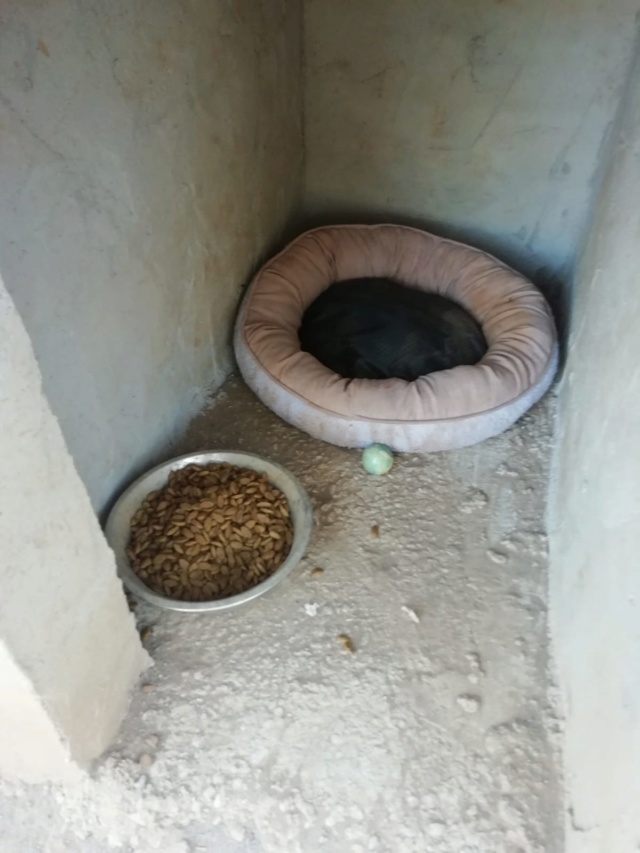 2 pallets voor van Asociacion Refugio libertad animal te Malaga 5e21c010