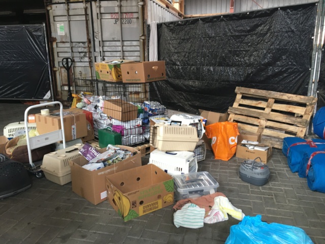 5 pallets staan klaar Img_3119