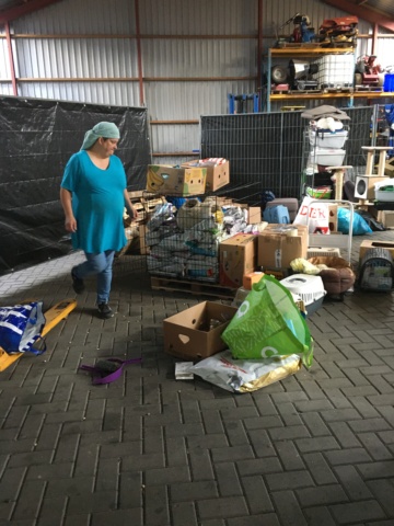 5 pallets staan klaar Img_3127