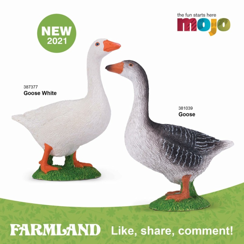Mojo Fun New 2021 - complete with pictures 14843810