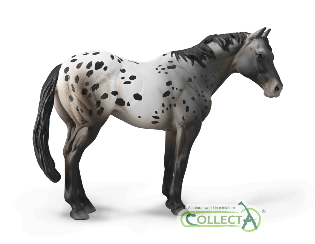 2022 Horse Figure of the Year, time for your choices! - Maximum of 5 88947_10