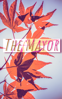 The Mayor