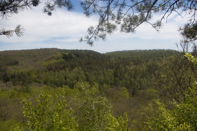 Le Colorado du Bitcherland ( 57 , Vosges du nord ) Colora25