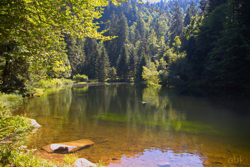 Le Haut des Bluches - Lac des Corbeaux - La Roche du Lac - Étang de Sèchemer ... Lac_co32