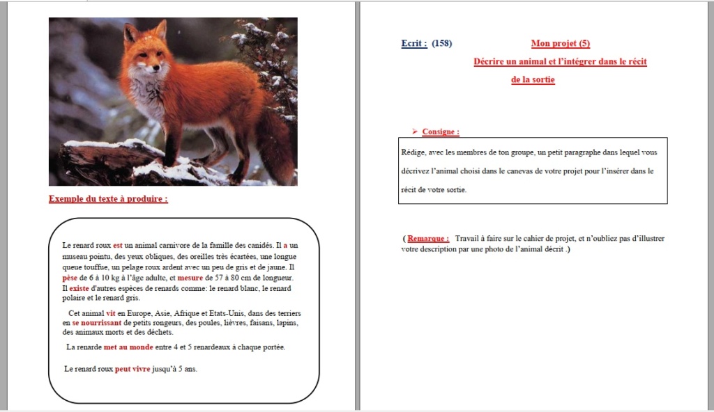 Séquence 5 : Faire la description d’un animal et l’intégrer dans le récit Prof : ABID HANANE E15