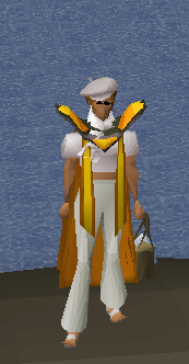 Fashionscape