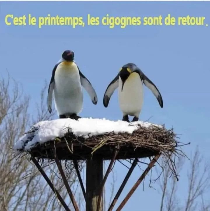 concours photo "Les prémices du printemps dans la nature" mars 2022 - Page 5 Img-2010