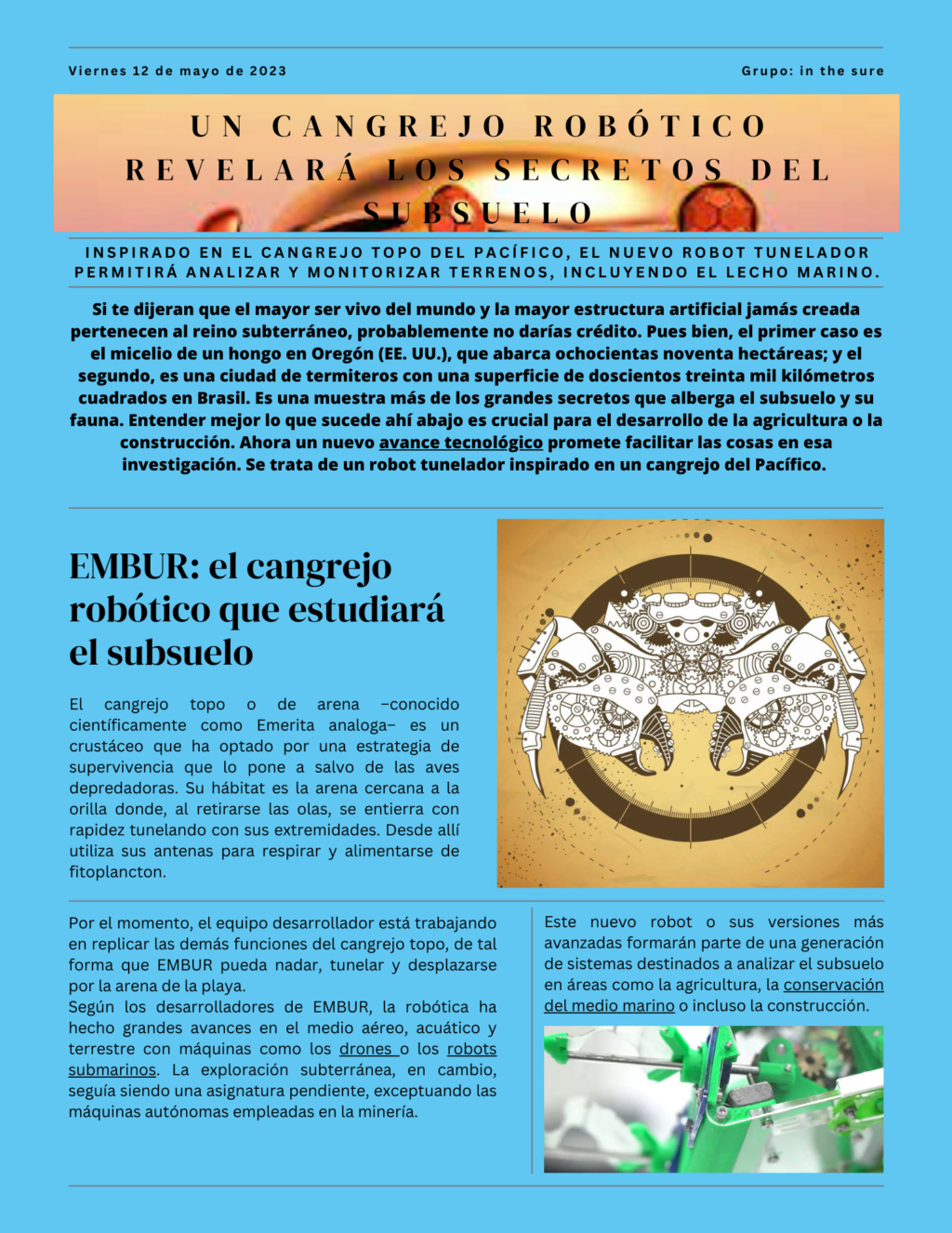 Un cangrejo robótico     Grupo: in the sure Perizd10