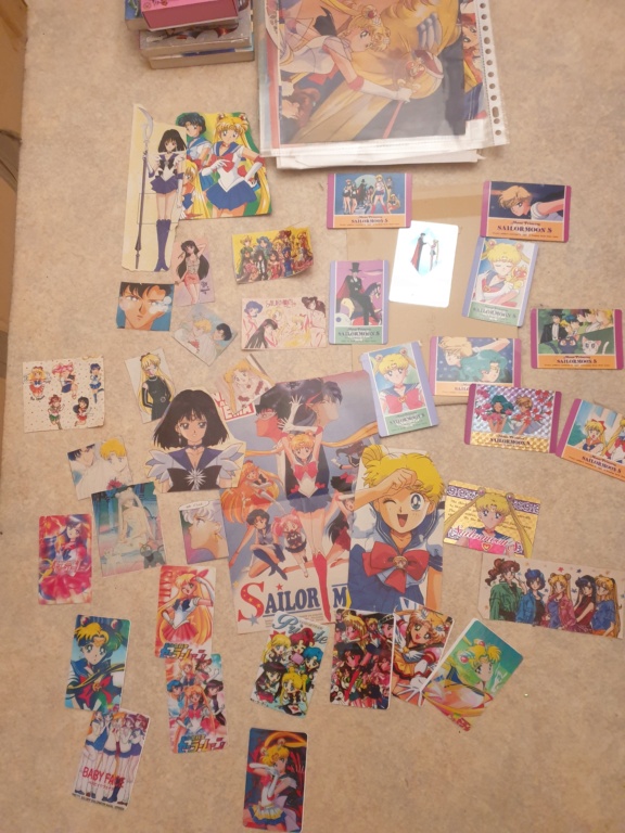 Ma collection Sailor Moon 20240212