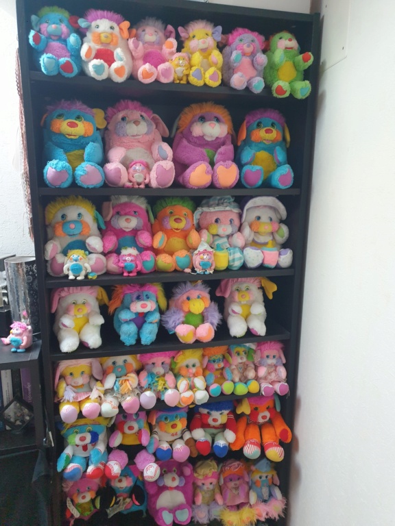 Parce que j aime un peu trop les popples ???? ma ptite collection a moi ???? 20240411