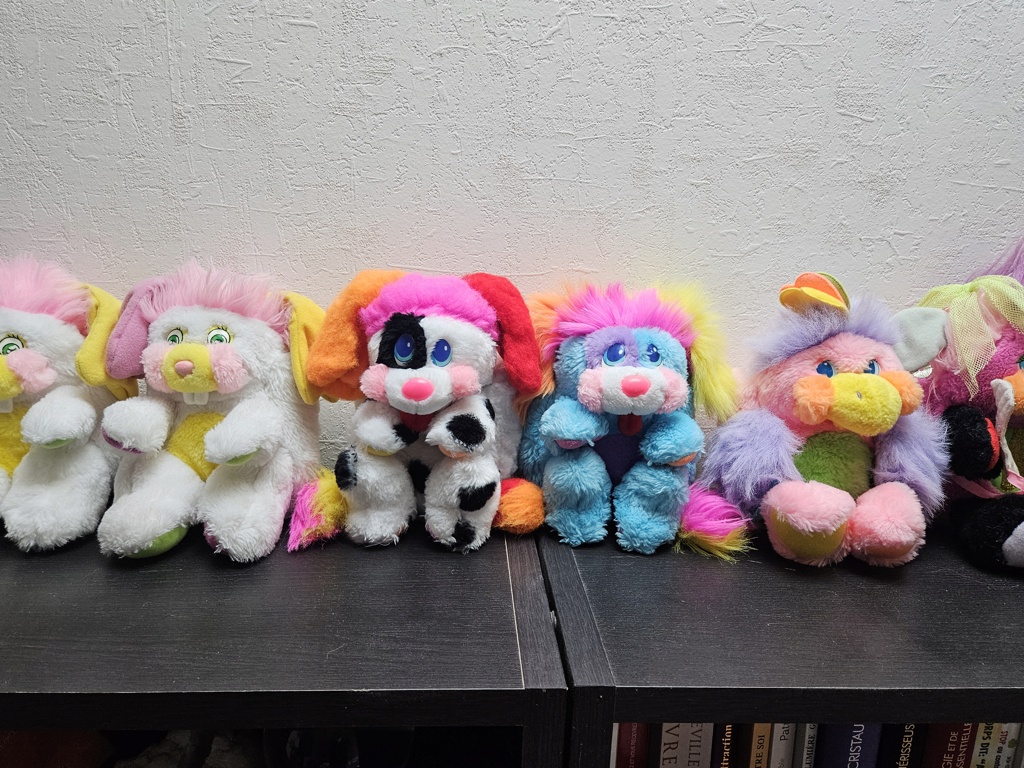 Parce que j aime un peu trop les popples ???? ma ptite collection a moi ???? 20240711