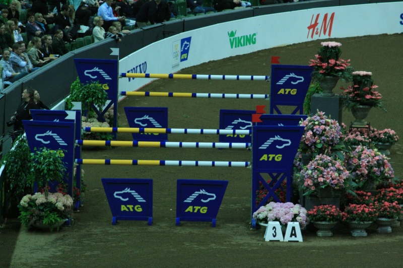 Finale Rolex FEI World Cup 2008 8-wc-g18