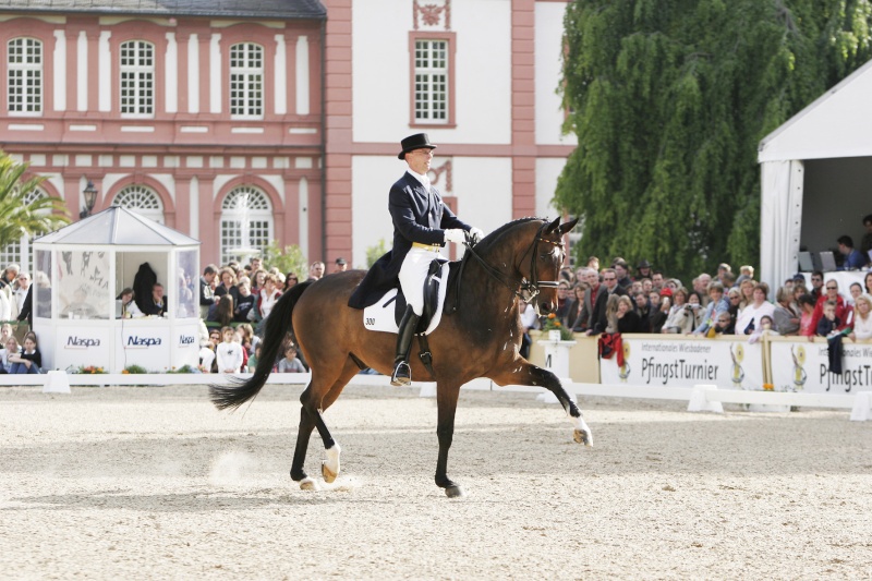 CSI****/CDI*** Wiesbaden Wiesba11