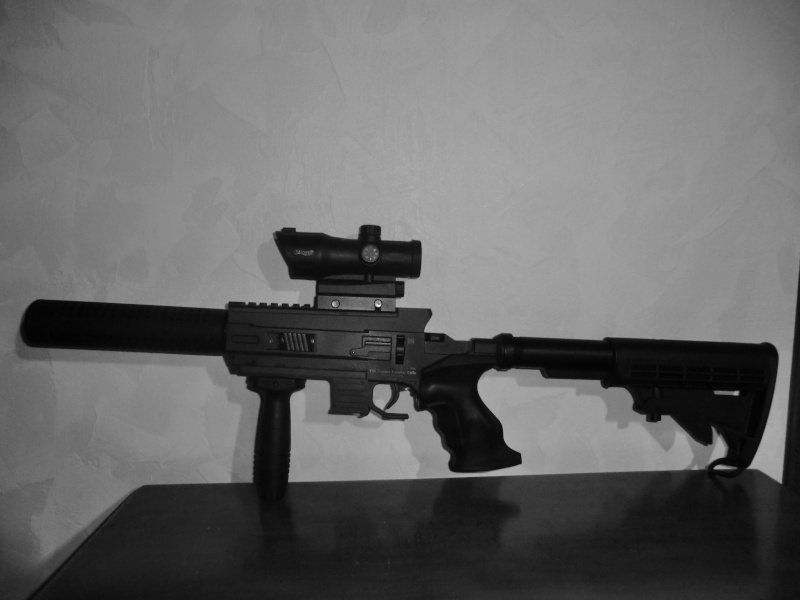 ROHM TWINMASTER - carabine Sniper 4.5, Desperado-rohm ou bien 850 Airmagnum - Page 2 Cimg0610