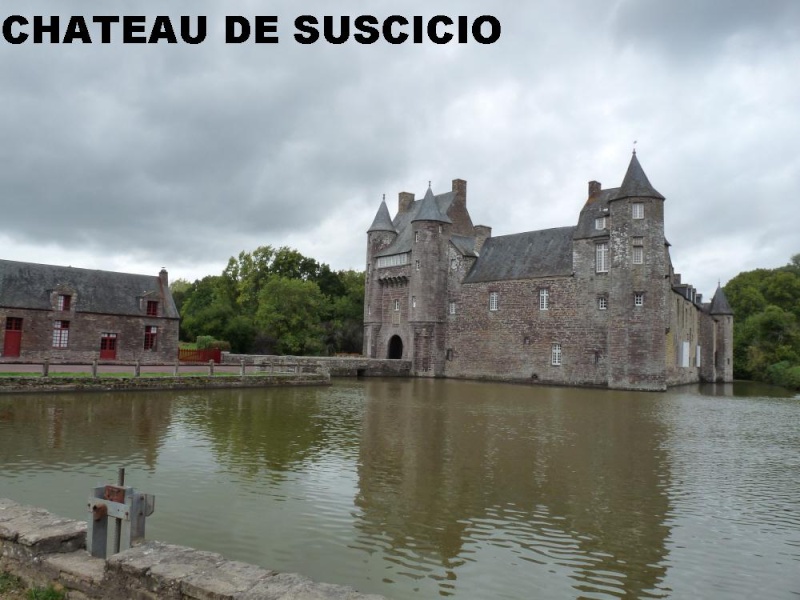 quelques photos de vacances (bretagne) Chatea10