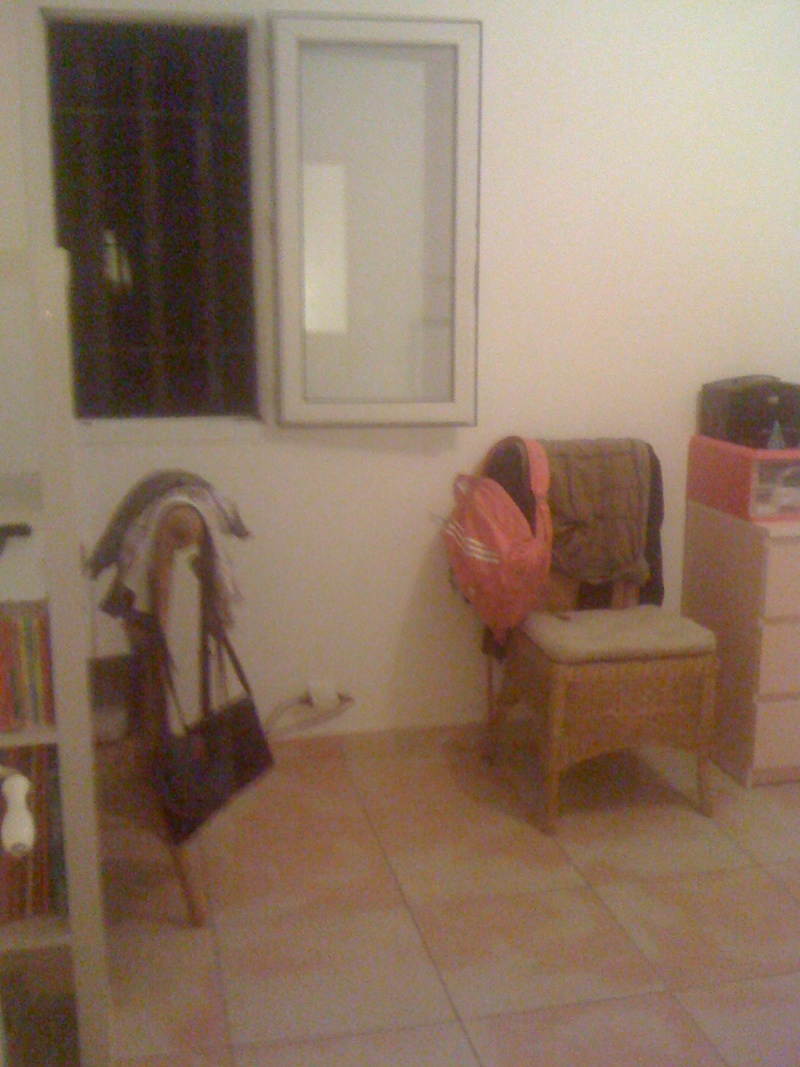 relooking chambre fille Img_0910