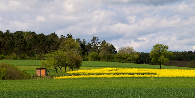 jaune cumulus et un peu de vert Cabane10