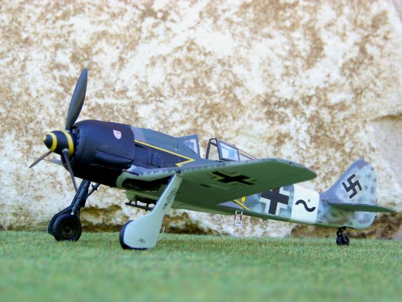 [TRIMASTER] FOCKE WULF Fw 190 A-8/R8 Réf MA 5 Focke_11