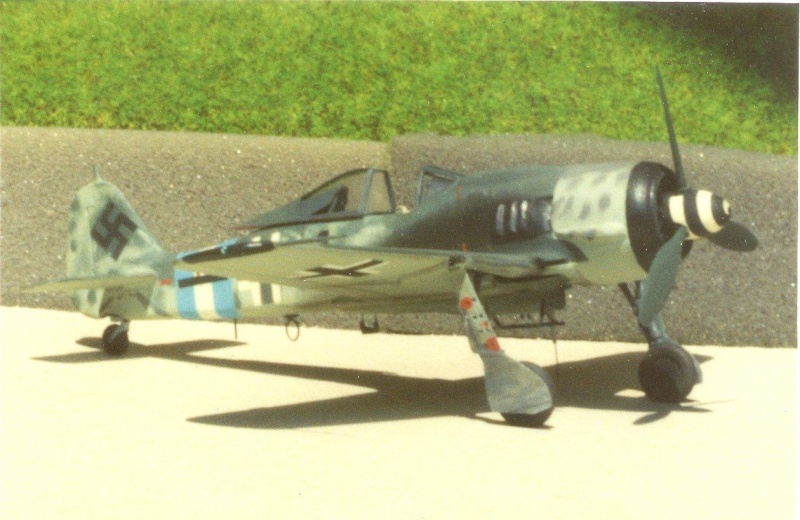 [Airfix] FW 190 A-8/F-8  une histoire de boîtes... Focke_13