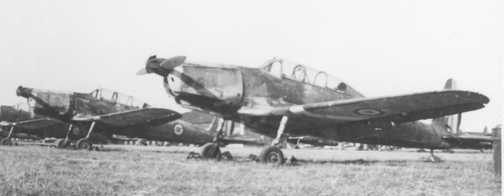 Arado Ar 96 B, armée de l'air. Img_0417