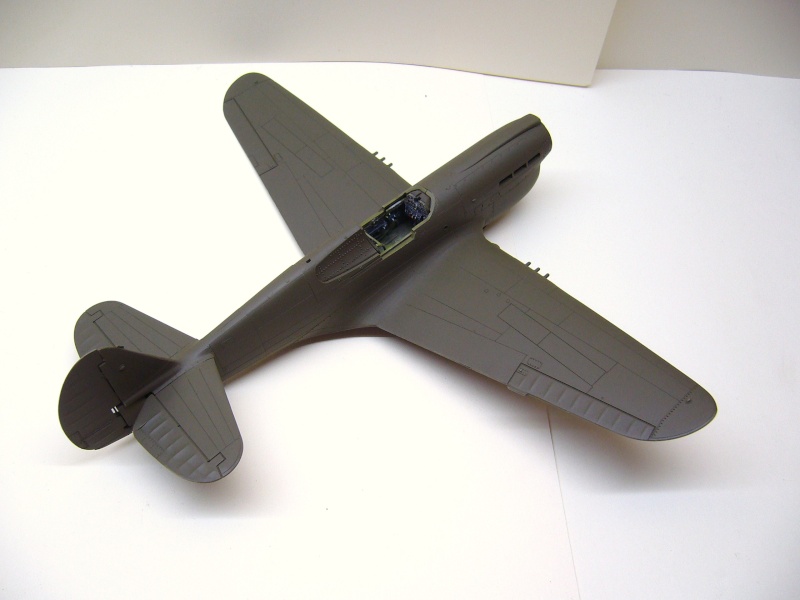 [Hasegawa] Curtiss Kittyhawk Mk III 1/72 P1020126