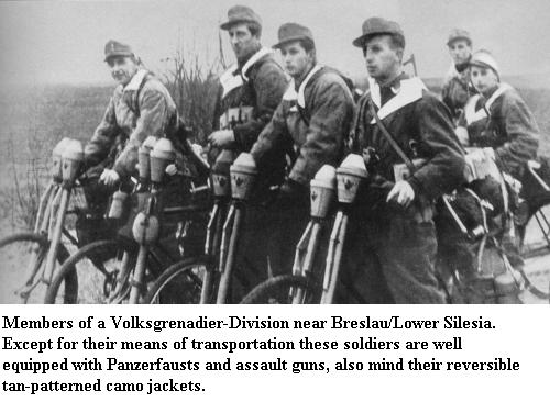 Les Divisions de Volksgrenadier Dl100t10
