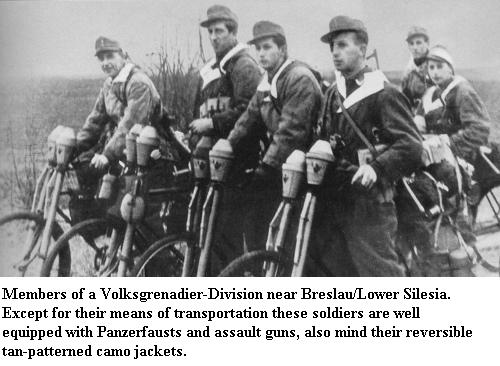 Les Divisions de Volksgrenadier