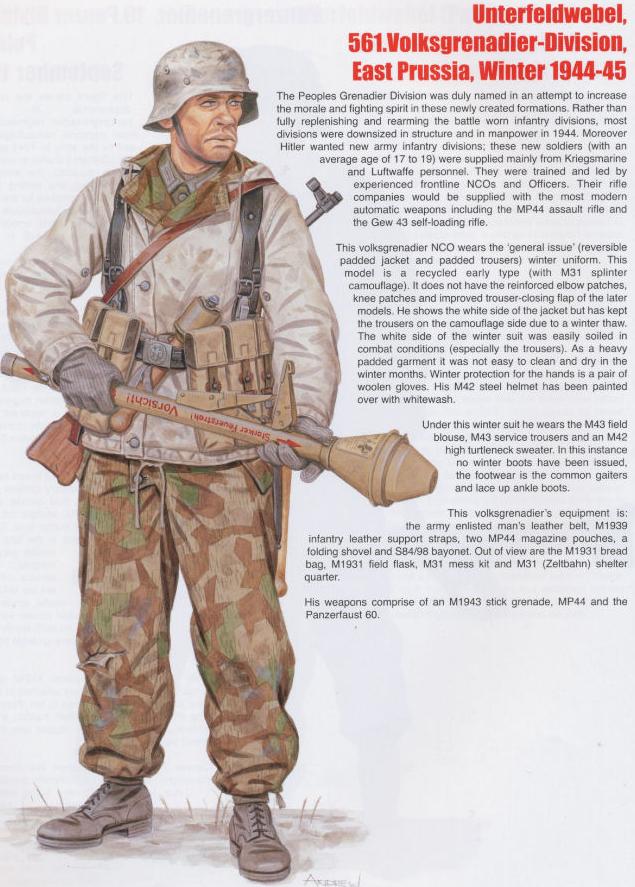 Les Divisions de Volksgrenadier
