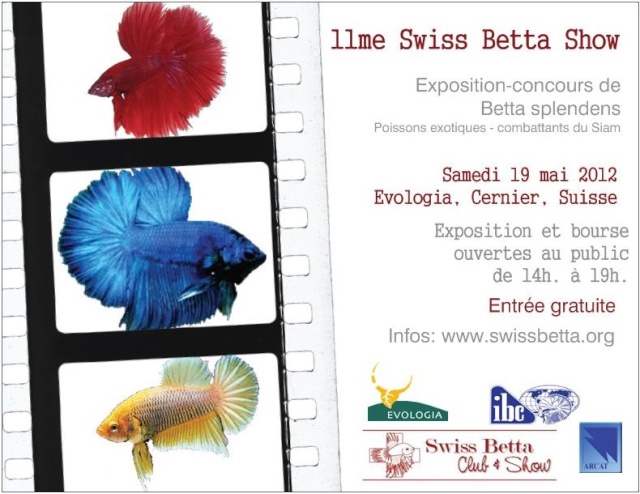 11me Swiss Betta Show, Cernier: 18-20 mai 2012 - Page 3 Flyer-10