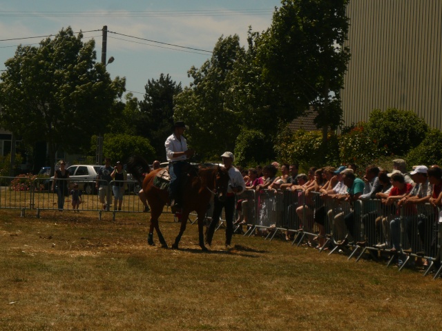 Redlinx, Quarter Horse, 7 ans, 1m60 P1040513