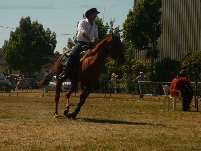 Redlinx, Quarter Horse, 7 ans, 1m60 P1040611