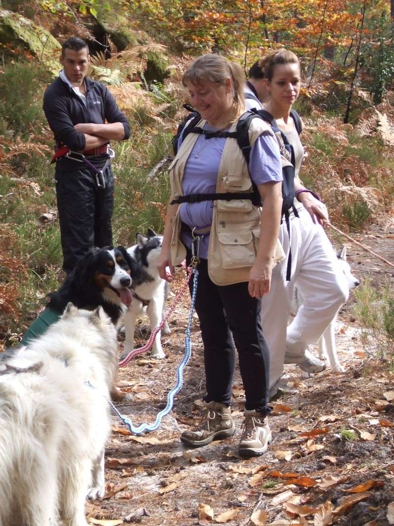 Le 12/10/2008 balade + pic nic en foret de fontainebleau - Page 3 Dscf6912