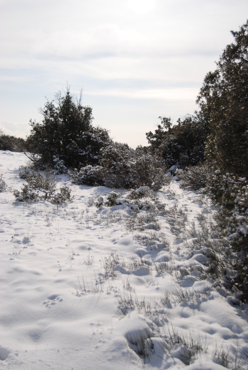 Sortie neige improvisée à Siou Blanc le 11/02/2012. Dsc_0095