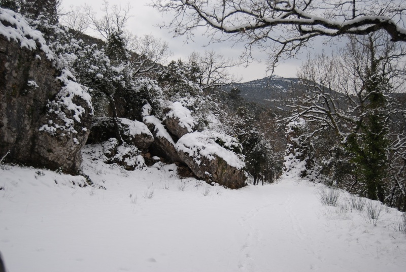 Sortie neige improvisée à Siou Blanc le 11/02/2012. Dsc_0236