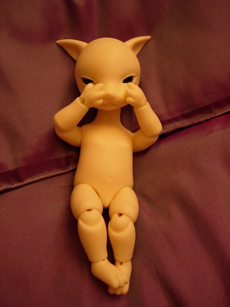 Fox (Dollzone Fox) est né ! Dscn0121