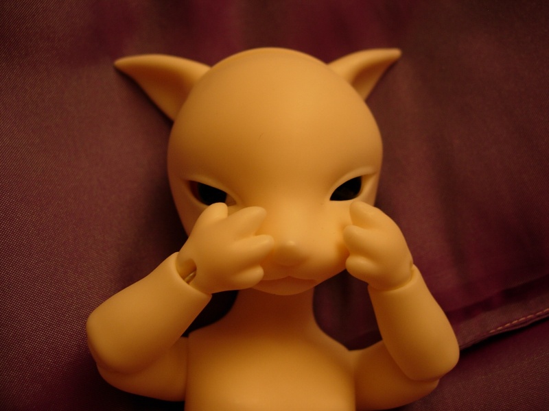 Fox (Dollzone Fox) est né ! Dscn0122