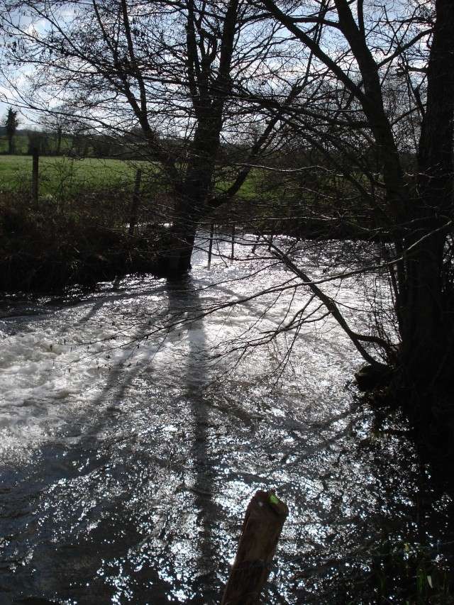 ballade autour de chez moi Chevau78