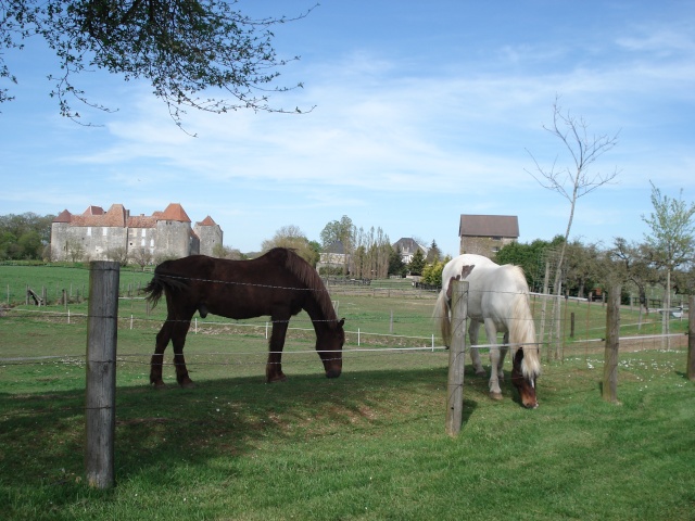 ballade autour de chez moi Chevau91